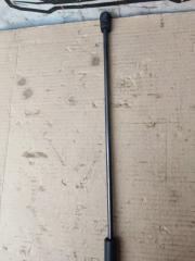 Амортизатор капота AUDI A4 8K 8E0 823 359 A 2 ракурс Амортизатор капота AUDI A4 8K 8E0 823 359 A 2 ракурс