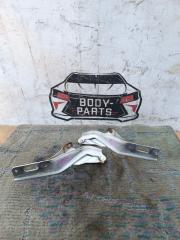Петля капота HONDA ELYSION RR1 1 ракурс