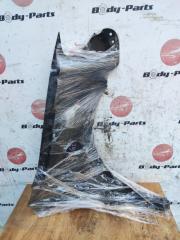 Крыло левое переднее VOLKSWAGEN GOLF 1K 1K9-821-021 2 ракурс