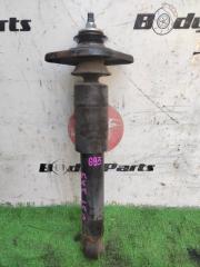 Амортизатор правый задний NISSAN TEANA J31 VQ23 562109Y006 1 ракурс