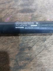 Амортизатор задней двери NISSAN WINGROAD Y12 9129C1 5 ракурс