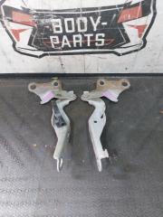 Петля капота TOYOTA PROBOX NCP59 1 ракурс