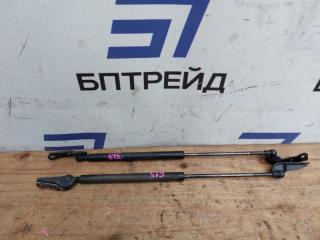 Амортизатор задней двери TOYOTA WISH ZNE14 68960-0W212 1 ракурс Амортизатор задней двери TOYOTA WISH ZNE14 68960-0W212 1 ракурс