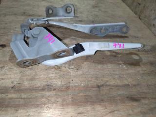 Петля капота TOYOTA COROLLA AXIO NZE144 1NZ 3 ракурс