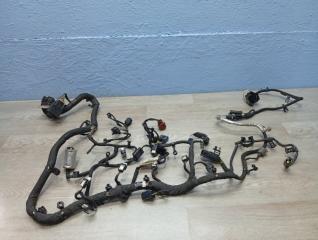 Проводка двигателя Ford Mustang Б/У Проводка двигателя Ford Mustang