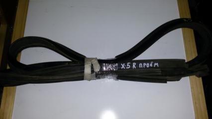 Уплотнитель двери задний BMW X5 2001