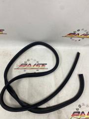 Уплотнитель двери задний правый Ford Focus 2006 Б/У Уплотнитель двери задний правый Ford Focus 2006