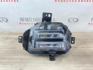 Запчасть фара противотуманная передняя левая Tank 700 2024