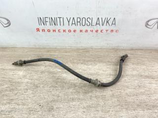 Тормозной шланг передний правый Q50 2016 V37 2.0t