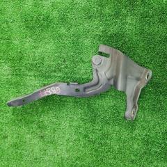 Фото запчасти петля капота левая Kia Ceed 2006-2012 Б/У запчасть Запчасть петля капота левая Kia Ceed 2006-2012