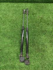 Запчасть амортизатор стекла двери багажника (комплект) Jeep Grand Cherokee 2004