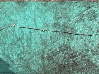 Трос ручника задний правый Toyota Corona 1994