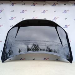 Капот GRANTA (FL) 672 - ЧЕРНАЯ ПАНТЕРА ANALOG