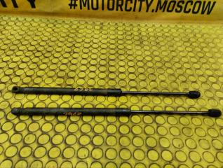 Запчасть амортизаторы багажника AUDI A4 2007