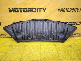 Защита бампера передняя Mercedes-Benz C-Class 2009