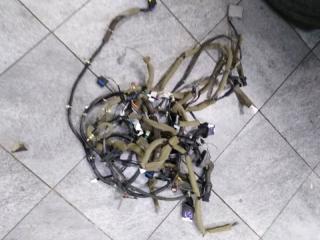 Проводка двери Infiniti FX35