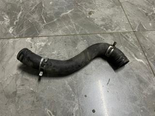 Патрубок радиатора Kia Sorento Prime 2019