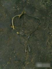 Датчик Mitsubishi Lancer