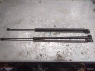 Амортизатор багажника Ford Kuga