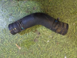 Патрубок радиатора Toyota Land Cruiser 2014