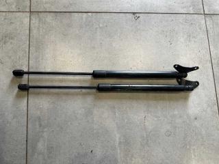 Амортизатор багажника Volkswagen Tiguan 2012