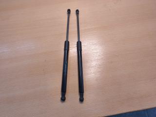 Амортизатор багажника Renault DUSTER 2021