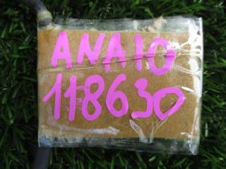 Лямбда-зонд TOYOTA MARK X ZIO ANA10 2AZFE 89465-12A00 2 ракурс
