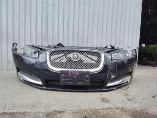Nose cut JAGUAR XF
