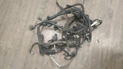 Проводка двигателя INFINITI ex35 2008