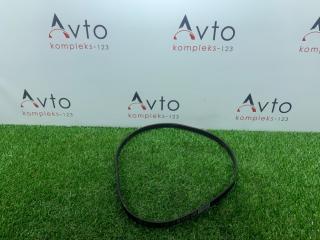 Ремень поликлиновый Audi A8 2009