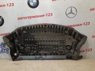 Защита бампера Mercedes E350 2010