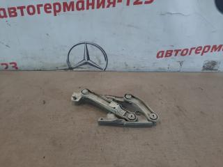 Петля капота левая Mercedes E320 2008