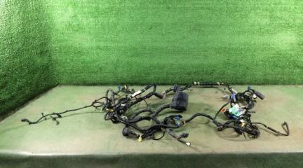 Проводка подкапотная Honda Civic 2006