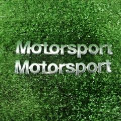 Запчасть шильдик TOYOTA ALTEZZA 2000