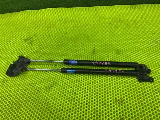 Фото запчасти амортизаторы двери багажника Honda Elysion 2009 контрактная запчасть Запчасть амортизаторы двери багажника Honda Elysion 2009