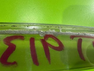 Ветровики Corolla Runx 2003 NZE124 1NZ-FE