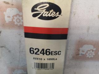 Ремень приводной Volkswagen Passat