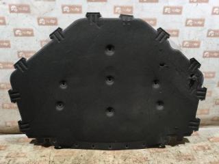 Обшивка капота BMW X6 2009