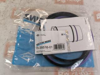 Комплект прокладок ДВС DAF XF105