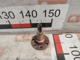 Цапфа задняя левая Volkswagen Golf 1993 Б/У Цапфа задняя левая Volkswagen Golf 1993