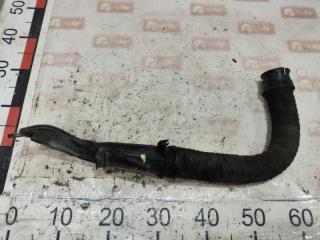 Резонатор воздушного фильтра Renault Kangoo 2014