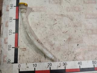 Горловина бачка омывателя Renault Kangoo 2014 Б/У Горловина бачка омывателя Renault Kangoo 2014