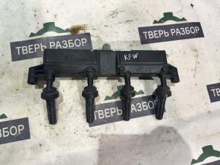 Катушка зажигания Peugeot 206 2009