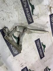 Запчасть петля капота передняя правая Skoda Octavia 2007