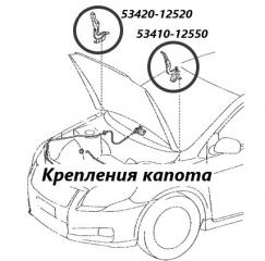 Запчасть петля капота Toyota Corolla Fielder 2008