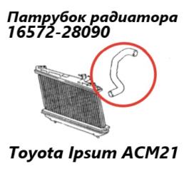 Фото запчасти патрубок радиатора Toyota Ipsum 2007 контрактная запчасть Запчасть патрубок радиатора Toyota Ipsum 2007