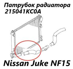 Фото запчасти патрубок радиатора Nissan Juke 2012 контрактная запчасть Запчасть патрубок радиатора Nissan Juke 2012