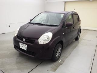 Телевизор Toyota Passo 2010