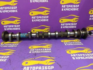 Распредвал впускной Toyota Camry 2008 ACV40 2AZ-FE 1350128060 Б/У