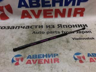 Амортизатор капота CADILLAC ESCALADE YS, FS, FK, GMT900, GMT926, GMT936, GMT946 L9H 1 ракурс